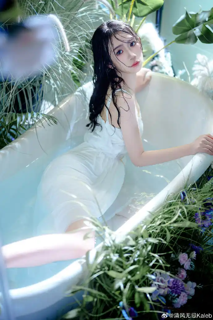 搜鸽天下数据分析界面